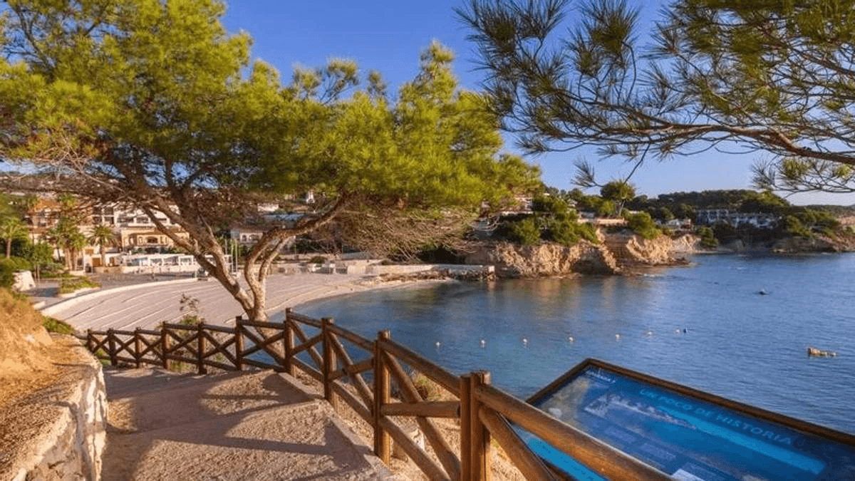 Mediterranes Klima