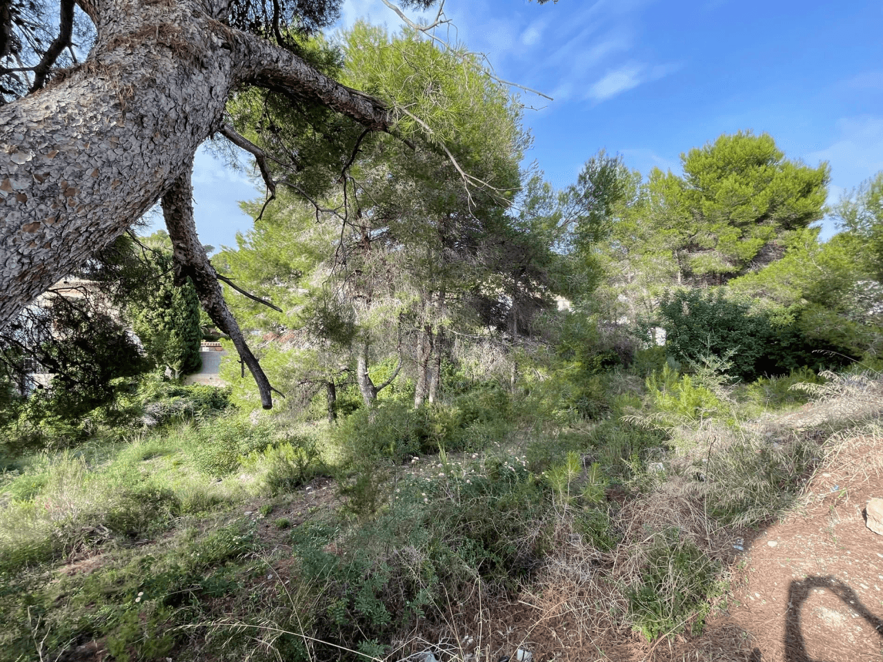 Parcela en venta en Costera del Mar, Moraira, Alicante