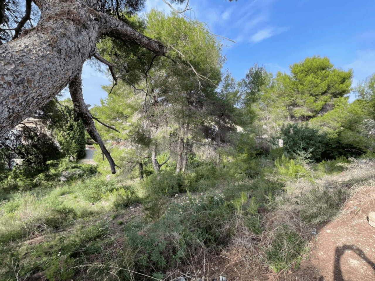 Parcelas para construcción de apartamentos de uso turístico en venta en Costera del Mar Moraira, Costa Blanca