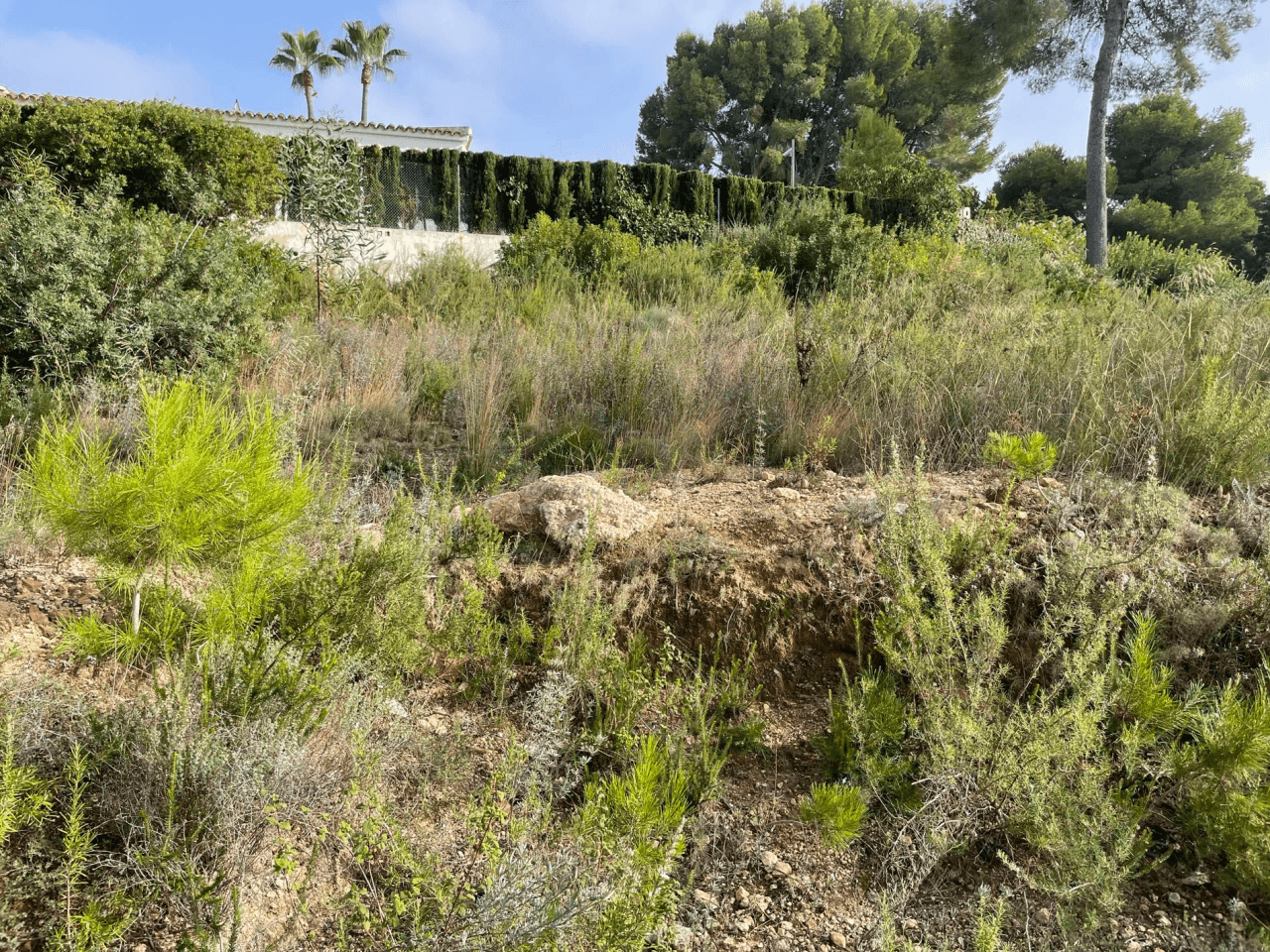 Parcela en venta en Costera del Mar, Moraira, Alicante