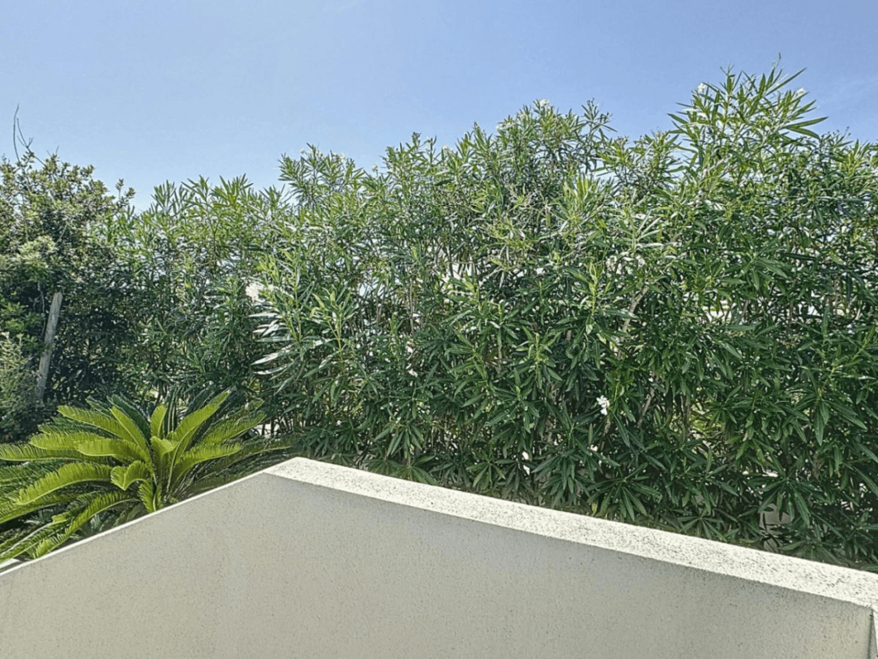 Villa moderne Cumbre del Sol avec vue sur la mer