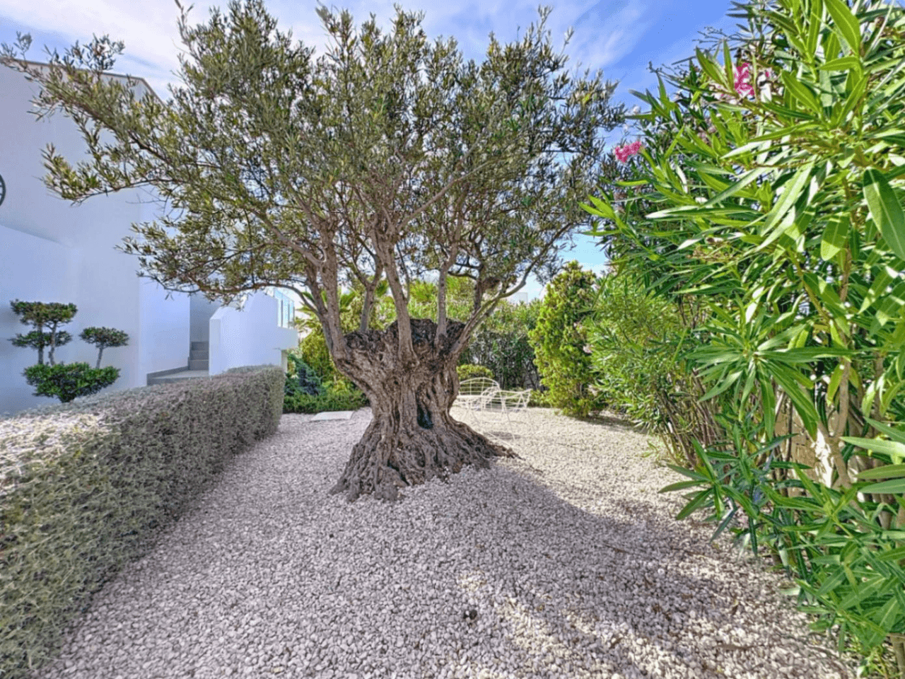 Villa moderne Cumbre del Sol avec vue sur la mer