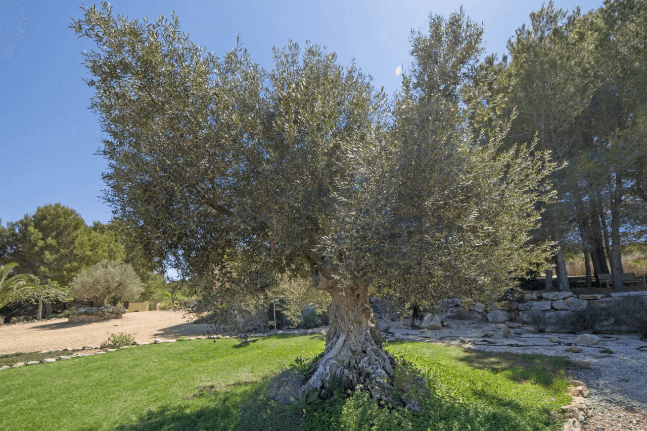 Finca de campo con vistas panorámicas en venta en Jávea.